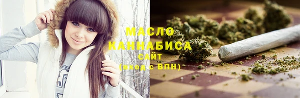 гашик Пестово