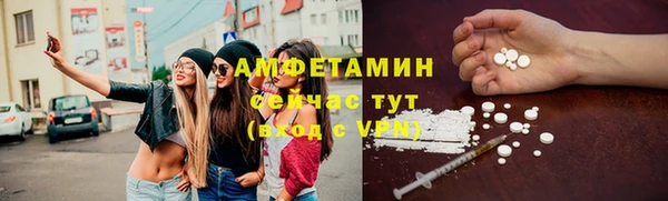 прущие крисы Пересвет