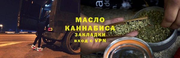 гашик Пестово