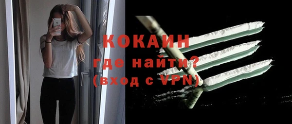 гашик Пестово