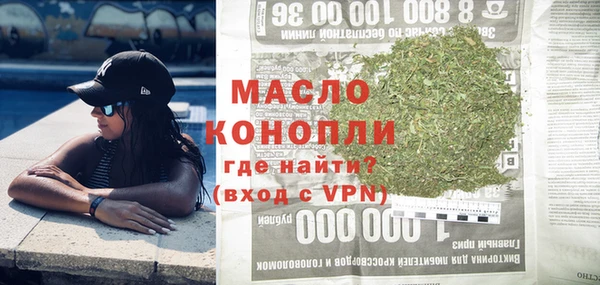 гашик Пестово