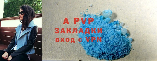 прущие крисы Пересвет