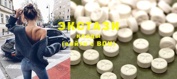 гашик Пестово