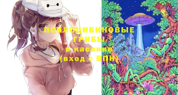 гашик Пестово